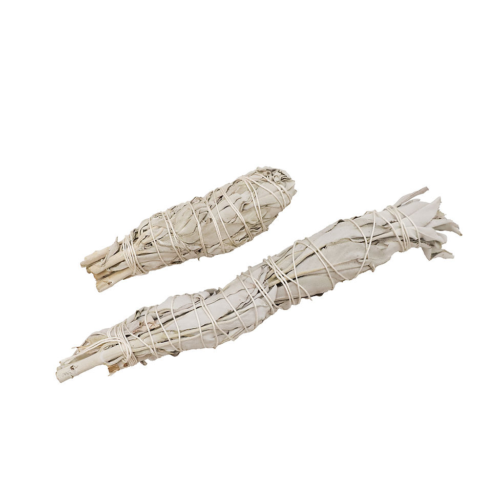 サムネイル： White Sage - Smudging 有機鼠尾草 - 煙薰用