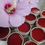 縮圖：Hibiscus Kiss