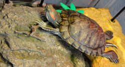 3 de febrero de 2012