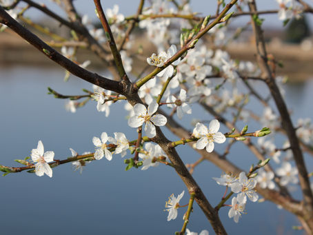 What we need most in a divided society is Respect