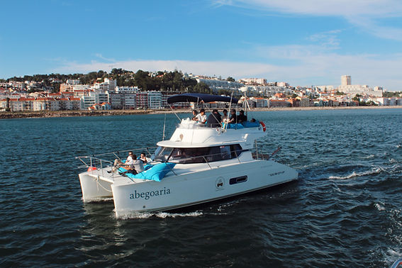 Oblivion - Up to 40 Passengers.png