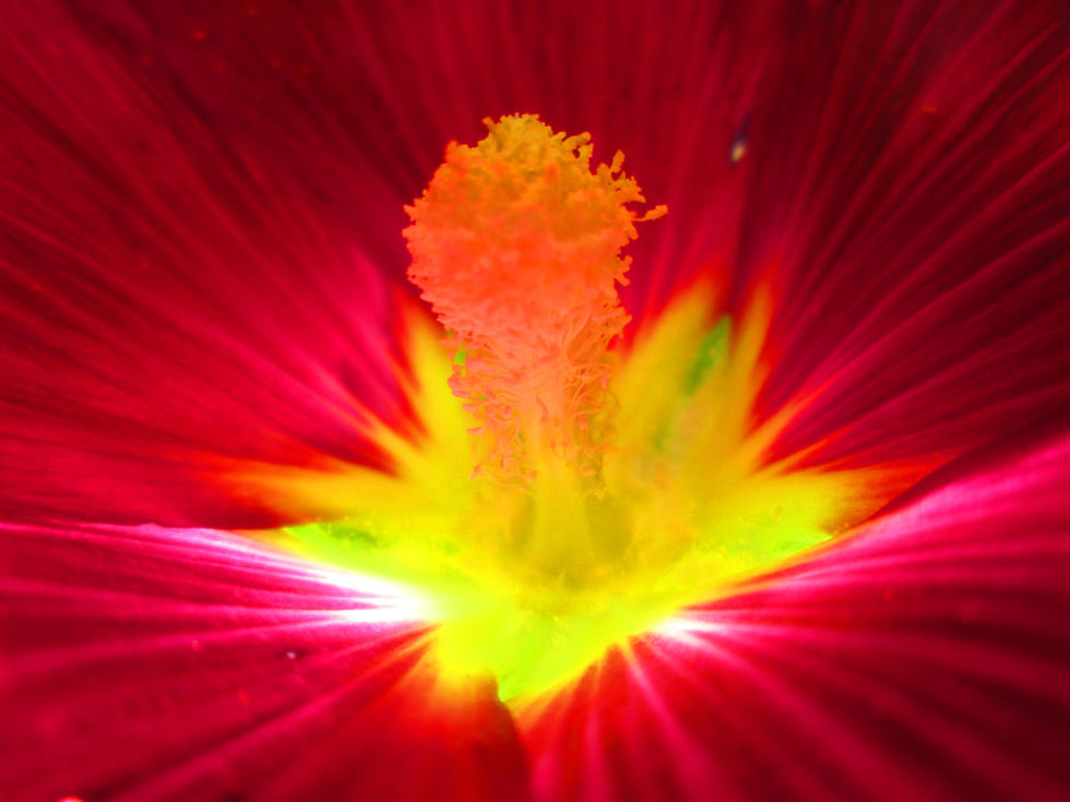 Atomic