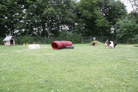 Welpenplatz