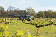 IMG_1206.jpeg