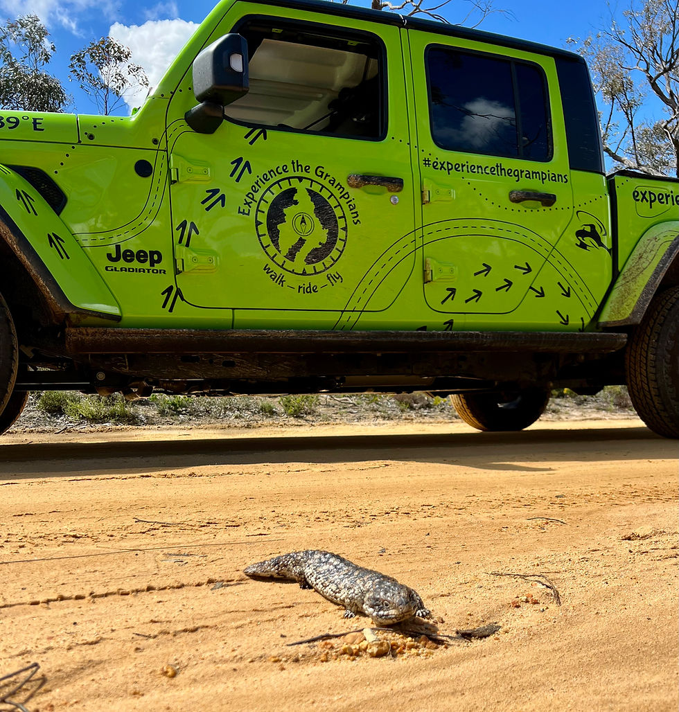 Experience the northern section - Grampians