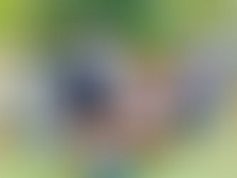 सांसे हो रही कम,मिलकर पेड़ लगाएं हम:श्रम मंत्री जूली