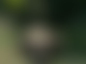 कहीं किस्सा बनकर न रह जाए ‘हाथी मेरा साथी’