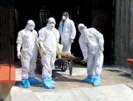 आफत बन गई शादी, दो दिन में दूल्हे की मौत, अब हलवाई समेत 100 से ज्यादा लोग पॉजिटिव