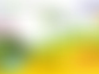 परिष्कार कॉलेज द्वारा पर्यावरण दिवस पर ऑनलाइन प्रतियोगिता