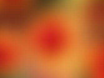 सवाई माधोपुर जिले में में सोमवार को चार नए कोरोना पॉजिटिव