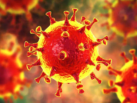 सवाई माधोपुर जिले में में सोमवार को चार नए कोरोना पॉजिटिव