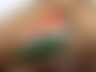 क्या है असली देशभक्ति