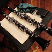 ハインリッチのクラリネット Instrument | Clarinetist Hidenao Aoyama Official Website