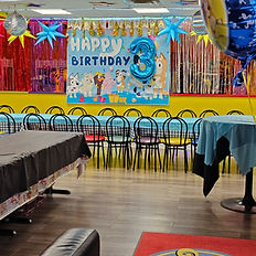 Bluey indoor birthday party