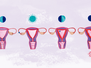 月経周期のフェーズ - 排卵期