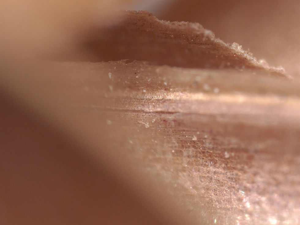 Riceberry rice husk_5.jpg