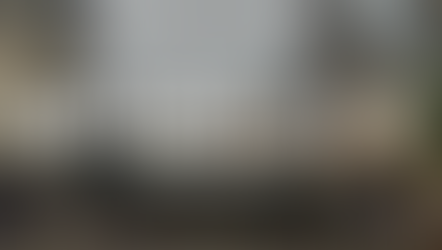 TRAVELLING TO A DIFFERENT LAND THREE TIMES OVER | DAEP UPDATE #5 & #6