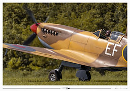 Supermarine Spitfire // La Ferté (France) // Mai 2026