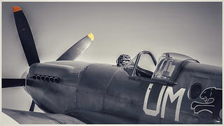 Supermarine Spitfire // La Ferté Alais (France) // Mai 2023 