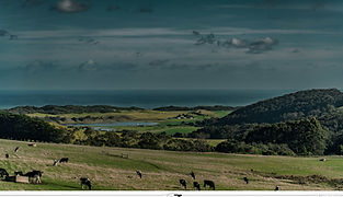 Great Ocean Road (Australia) // 2025