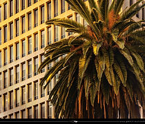 Melbourne (Australia) // 2025