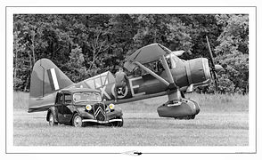 Westlan Lysander // La Ferté (France) // Mai 2024 