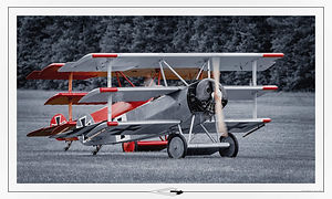 Fokker Triplan // La Ferté (France) // Mai 2024 