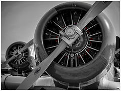 North American T-6 // La Ferté Alais (France) // Mai 2023 
