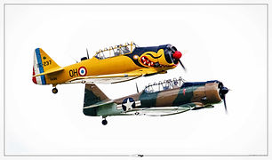 North American T-6 // Villaroche (France) // Septembre 2024