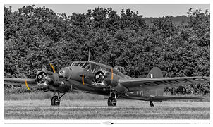 Avro Anson // La Ferté (France) // Mai 2026