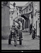 Marrakech (Maroc) // 2026