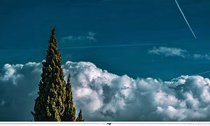 Vélizy (France) // 2025