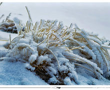 Serre Chevalier (France) // 2025