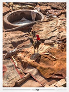 Marrakech (Maroc) // 2026