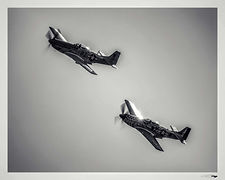 North American P-51D Mustang // Villaroche (France) // Septembre 2023