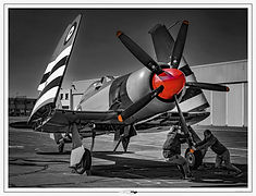 Hawker SeaFury // Villaroche (France) // Septembre 2024