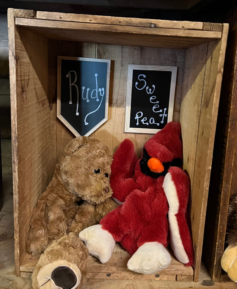 Rudy is a 16" Unstuffed Plush Animal