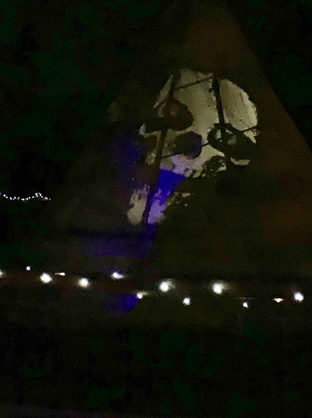 Halloween @ The Ranch
