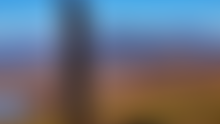 News You Missed This Past Week