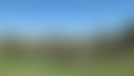 Traveling During COVID-19