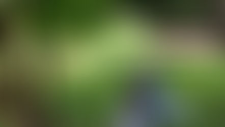 A Day in the Life: In Photos