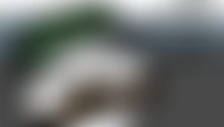 Part 3: Life, Death, Tacos, and Hot Pockets