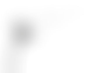 A dandelion in a field of poppies