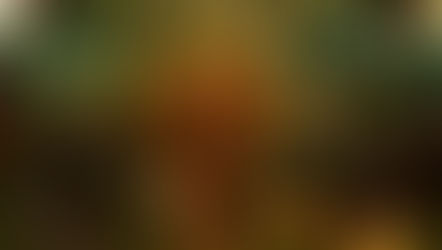 Enchanted Forest Prom: What It’s All About and Why You Should Go