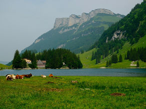 Summer in Switzerland: A Photo Series