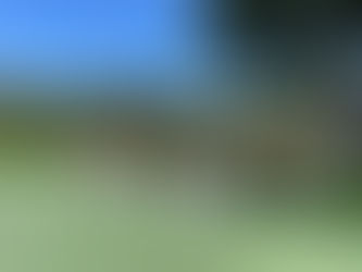 A Brief Recap of Parker's 2022 Tennis Season