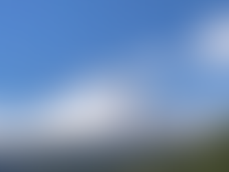 Ash Creek Woods Pt. II