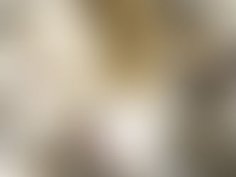 In Defense Of: Mint Chocolate Chip Ice Cream