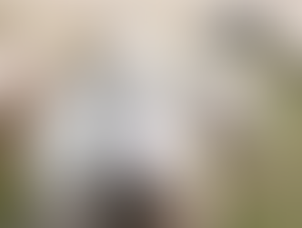 Do Androids Dream of Electric Sheep? from the Sheep's Perspective