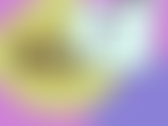 A Cat's Guide to Understanding Your Hooman Servant